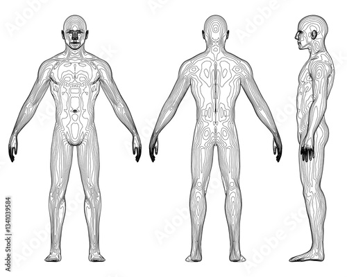 Three different views of a man's body. Front, back. side view. 3D