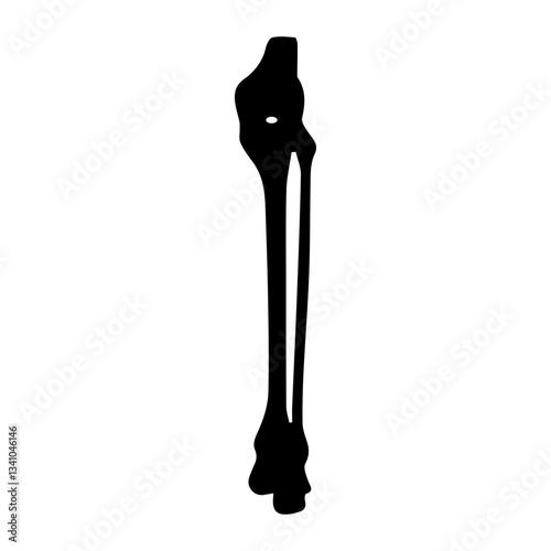 leg bones glyph icon
