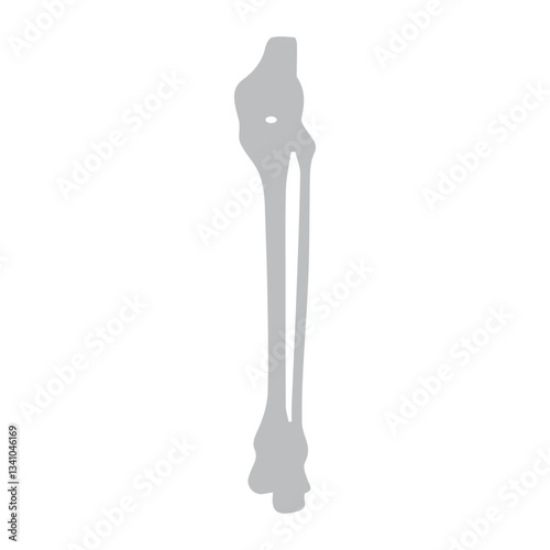 leg bones icon
