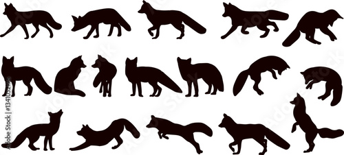 fox in different angles collection, set silhouette vector on white background