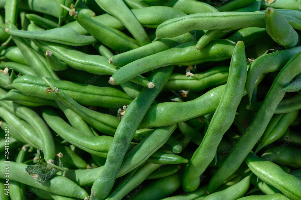 Freshly picked green beans in a vibrant farmers market display under bright sunlight Freshly picked green beans in a vibrant farmers market display under bright sunlight