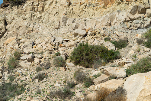 Cliffs on Cabo de Gata beach in Almeria 7 photo