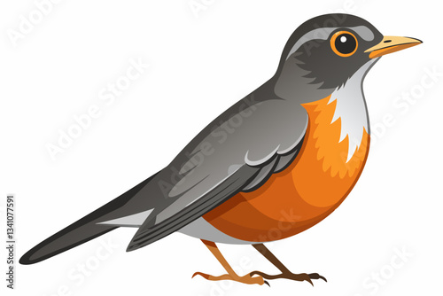 American Robin Bird Vector Illustration Design