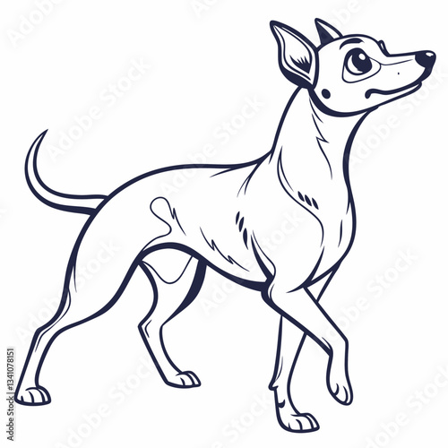 American Hairless Terrier line drawing outline illustration vector design

