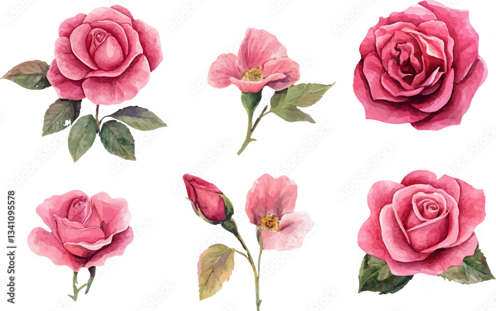 Naklejka premium set of pink roses