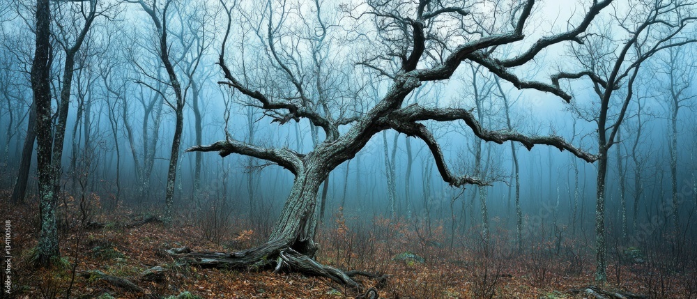 Obraz premium A dense, mist-covered forest bathed in cold, desaturated blue and gray tones
