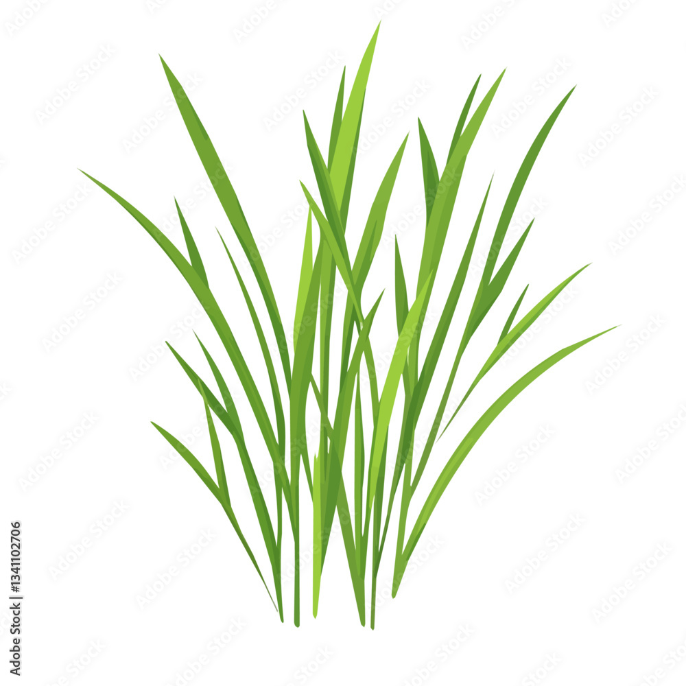 A Simple flat 2D icon wheatgrass isolated on transparent background, flat design, vector, animation design, simple flat 2D icon, clipart, Traditional Persian New Year, Nowruz A Simple flat 2D icon wheatgrass isolated on transparent background, flat design, vector, animation design, simple flat 2D icon, clipart, Traditional Persian New Year, Nowruz