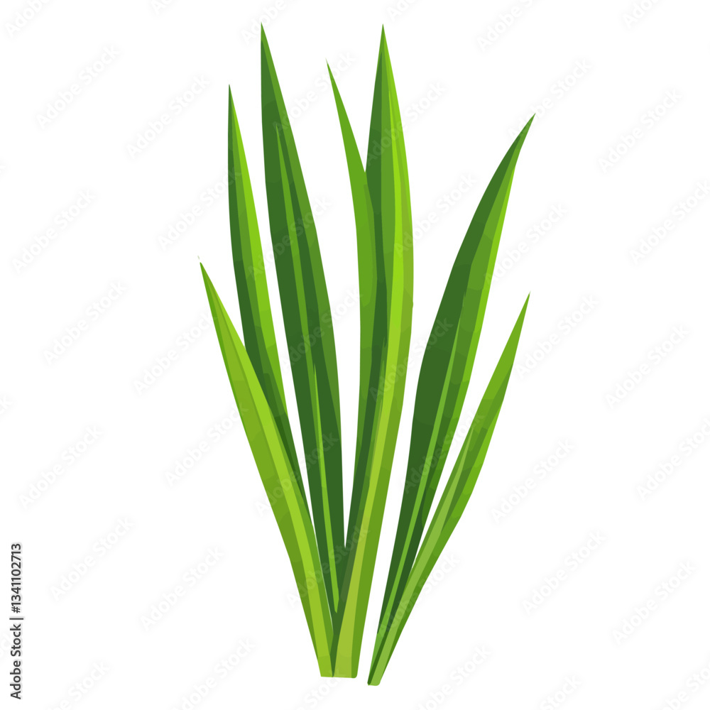Simple flat 2D icon wheatgrass isolated on transparent background, flat design, vector, animation design, simple flat 2D icon, clipart, Traditional Persian New Year, Nowruz Simple flat 2D icon wheatgrass isolated on transparent background, flat design, vector, animation design, simple flat 2D icon, clipart, Traditional Persian New Year, Nowruz