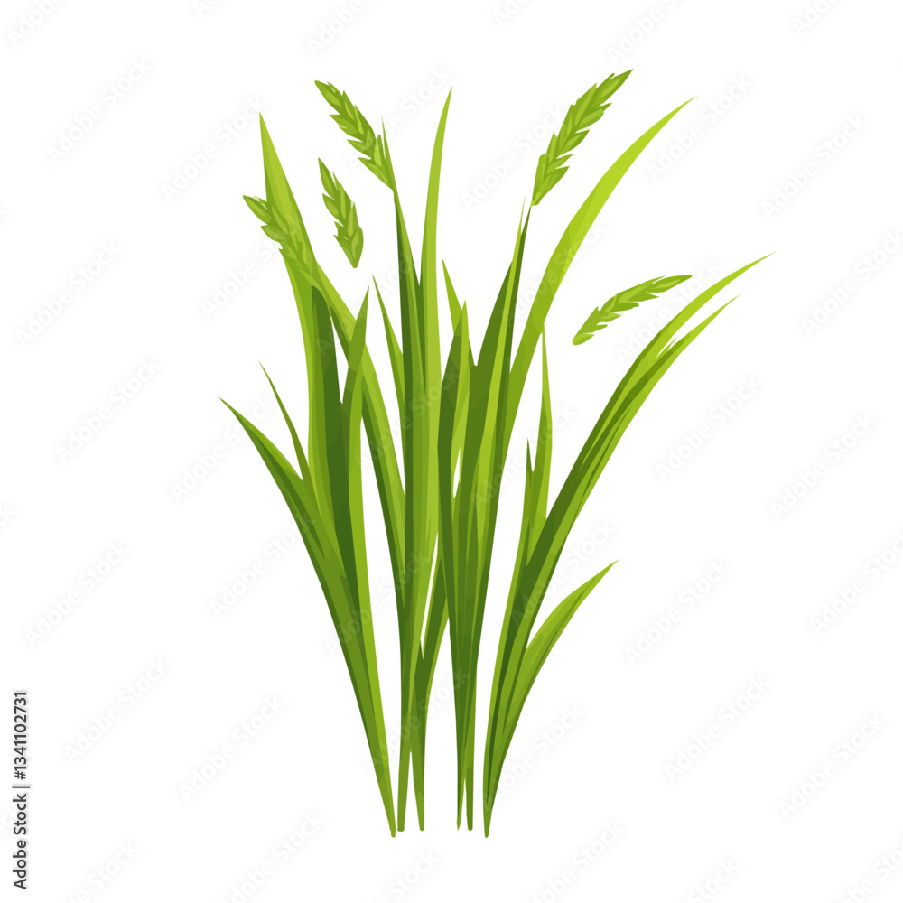 Obraz premium Very Simple flat 2D icon green wheatgrass isolated on transparent background, flat design, vector, animation design, simple flat 2D icon, clipart, Traditional Persian New Year, Nowruz 