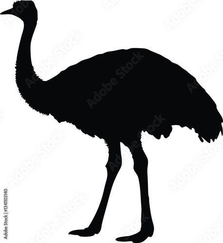 emu bird  silhouette vector,Ostrich  vector illustration 