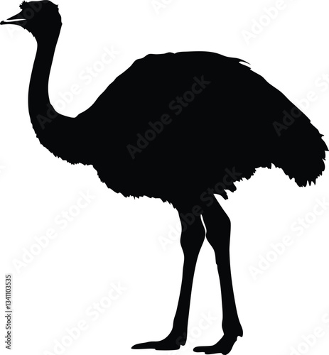emu bird  silhouette vector,Ostrich  vector illustration 