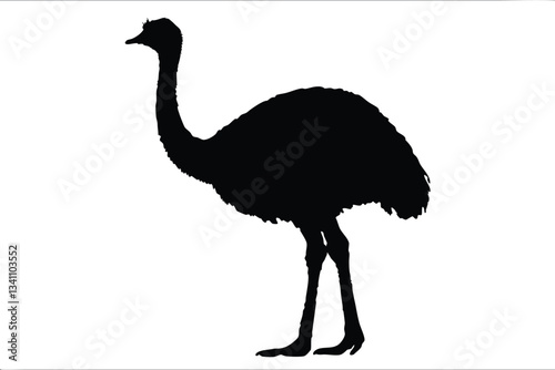 emu bird  silhouette vector,Ostrich  vector illustration 
