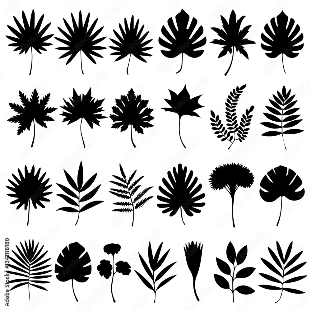 A collection of black silhouette tropical plant and tree icons, featuring various palm trees, ferns, and botanical elements in a minimalistic style on a white background. A collection of black silhouette tropical plant and tree icons, featuring various palm trees, ferns, and botanical elements in a minimalistic style on a white background.