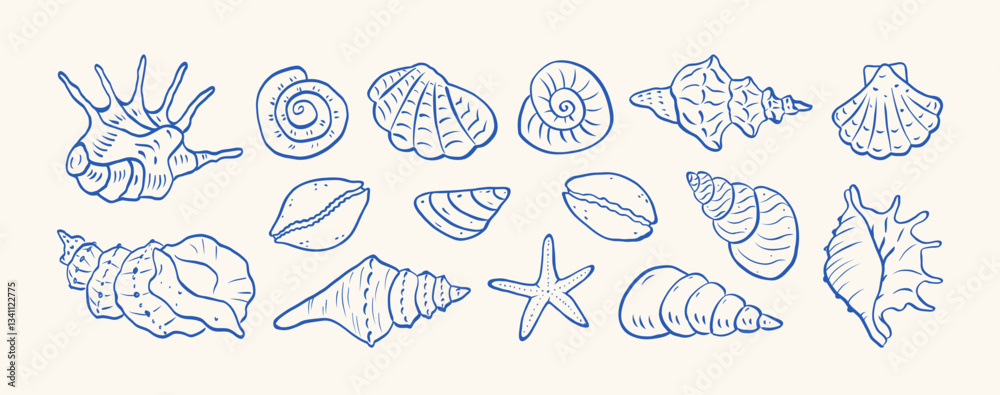Set of hand drawn seashells drawing ink. Minimalist line art. Summer vacation design elements for trendy prints, label, menu cover. Tropical beach shells. Vector flat illustration. Set of hand drawn seashells drawing ink. Minimalist line art. Summer vacation design elements for trendy prints, label, menu cover. Tropical beach shells. Vector flat illustration.