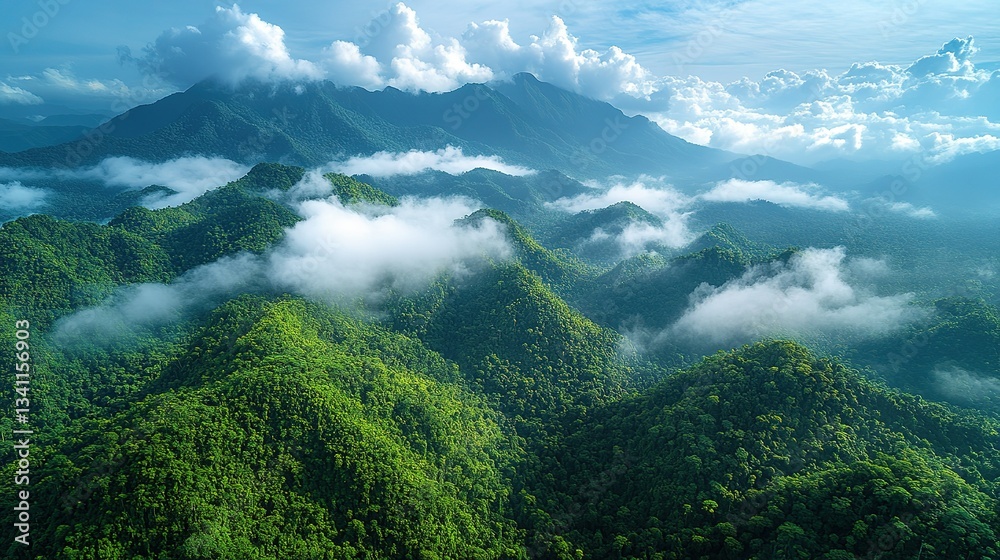 Obraz premium In the distance, there is an endless mountain range in a tropical rainforest, with white clouds floating above it. The green mountains and dense forests create a striking contrast