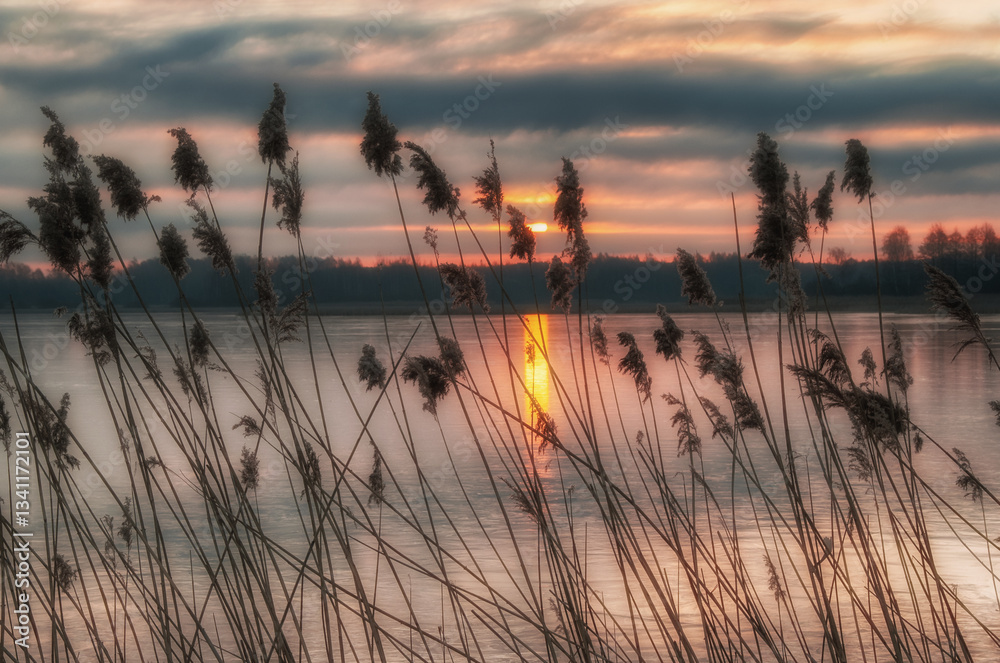 Poranek nad Stawami Dojlidzkimi, Podlasie, Polska
