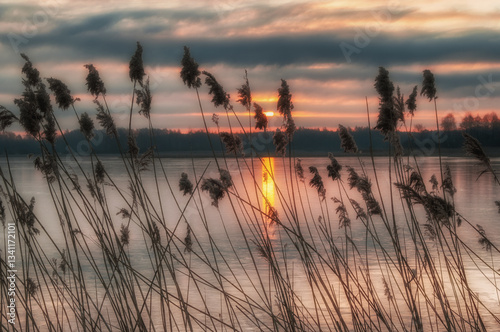 Obraz na płótnie Poranek nad Stawami Dojlidzkimi, Podlasie, Polska w salonie