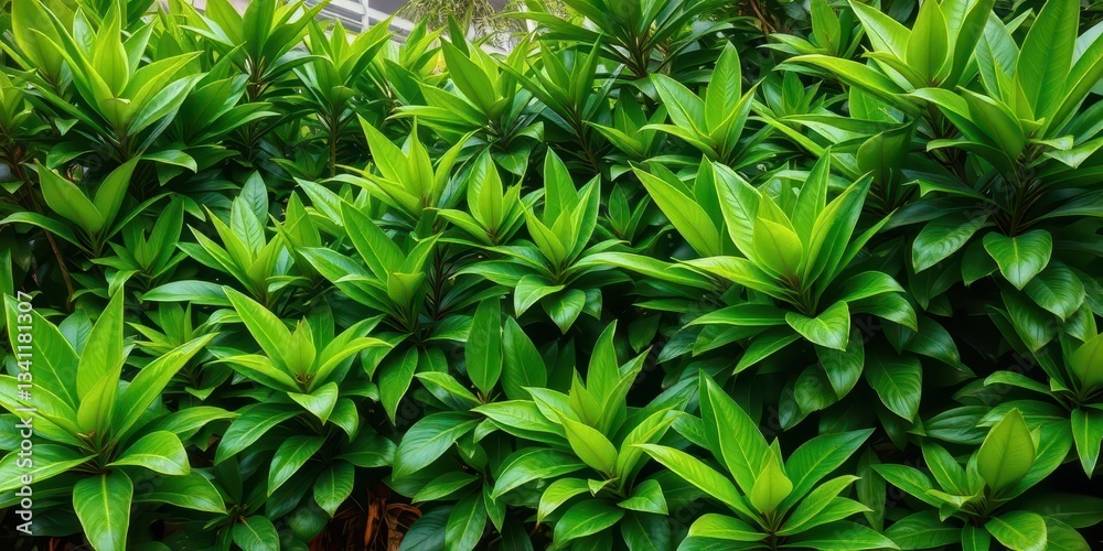 Obraz premium Lush green tropical foliage, vibrant jungle leaves, dense bush, environment, jungle plants