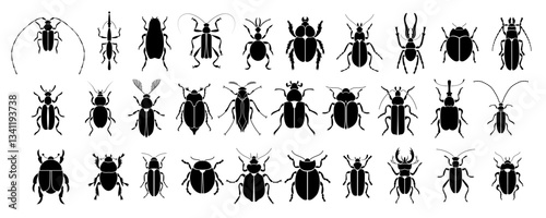 Collection of vector black silhouettes of bugs isolated on white background. Doodle insects. Nature and biodiversity insects specie. Simple illustration of beetles icon for web.