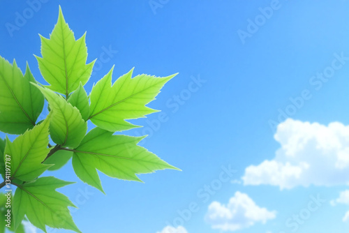 bunch of green clover leaves against a blue sky