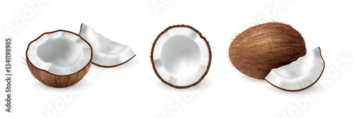 Realistic Coconut. Set of whole, half, piece of coconuts isolated on transparent background. Fresh, juicy, tropical fruit collection.