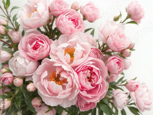 Luscious pink peonies and roses, abundant blooms, blank space, romantic flowers, texture