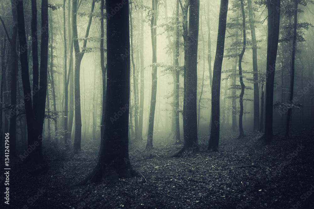 Fototapeta premium dark mysterious halloween forest landscape in fog