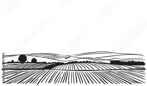 Farm fields sketch. Vine plantation hills, trees, clouds on the horizon vector illustration