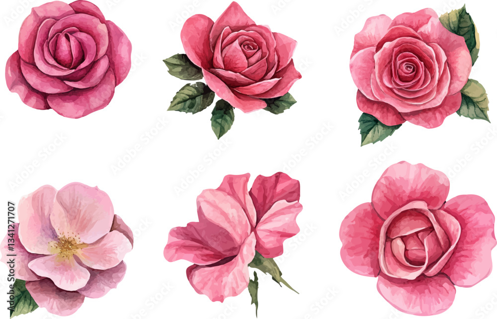 Naklejka premium set of roses vector illustration
