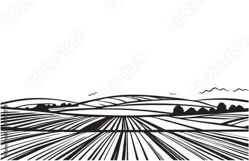 Farm fields sketch. Vine plantation hills, trees, clouds on the horizon vector illustration