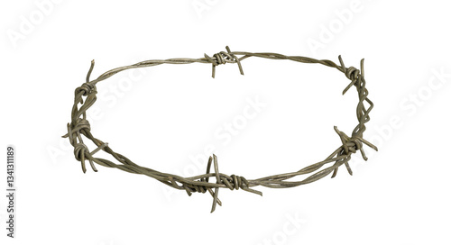 barbed wire crown isolated on transparent background