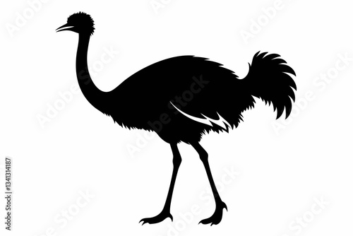 ostrich line art silhouette vector illustration