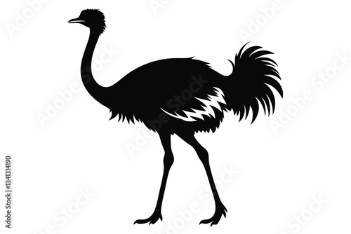ostrich line art silhouette vector illustration