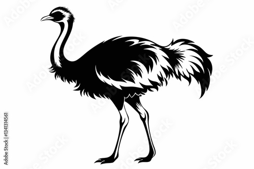 ostrich line art silhouette vector illustration