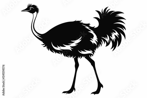 ostrich line art silhouette vector illustration