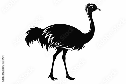 ostrich line art silhouette vector illustration