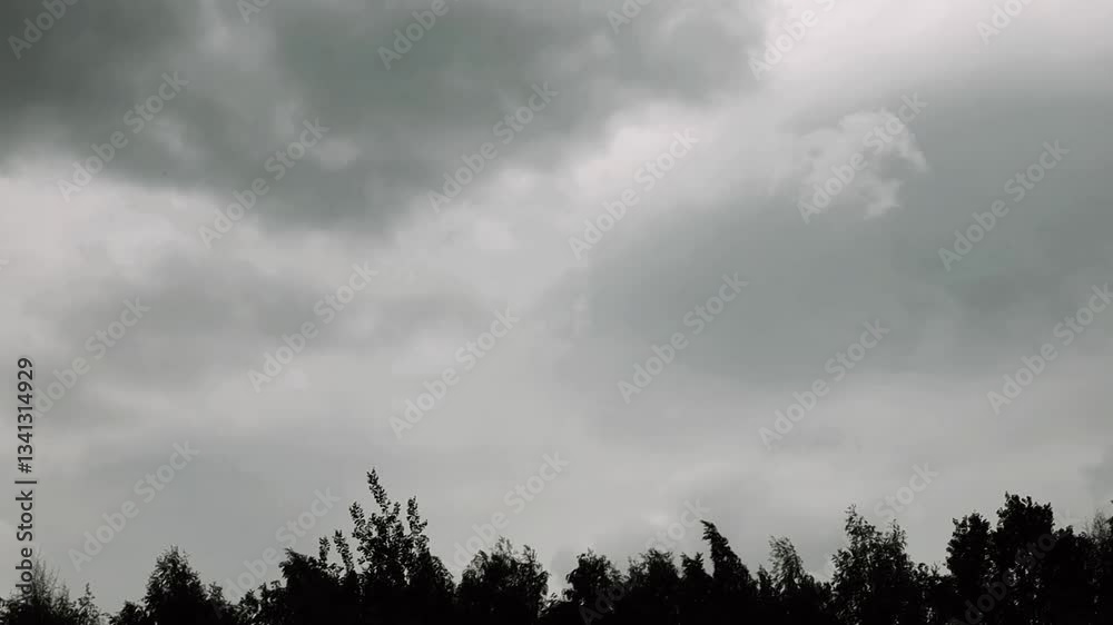 grey clouds in the sky, natural background, treetops grey clouds in the sky, natural background, treetops