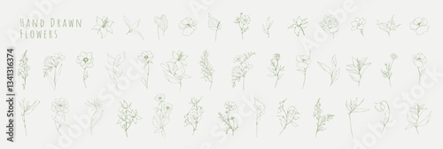 Botanic set of detailed various flowers and brunch. Luxury vintage floral collection for wedding invitation, wallpaper art or save the date card. Botanical vector illustration