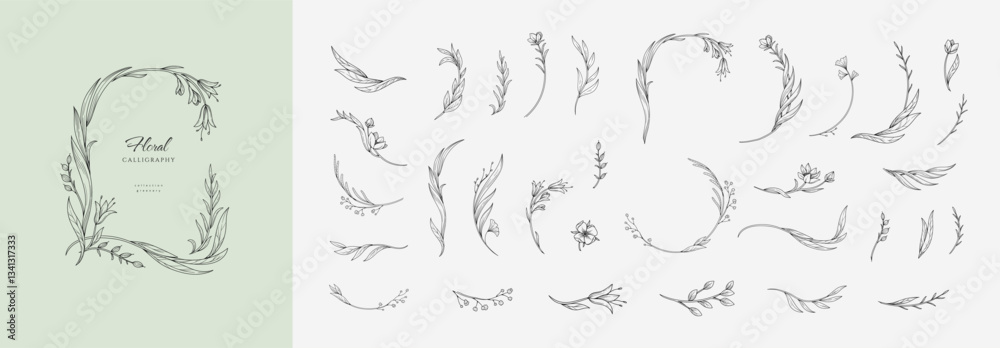Fototapeta premium Set of elegant calligraphic botanical design elements, floral frame and graceful branches. Wedding wildflowers for invitation save the date card. Botanical feminine rustic vector illustration