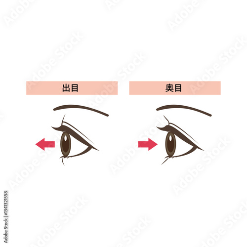 出目と奥目の違いイラスト