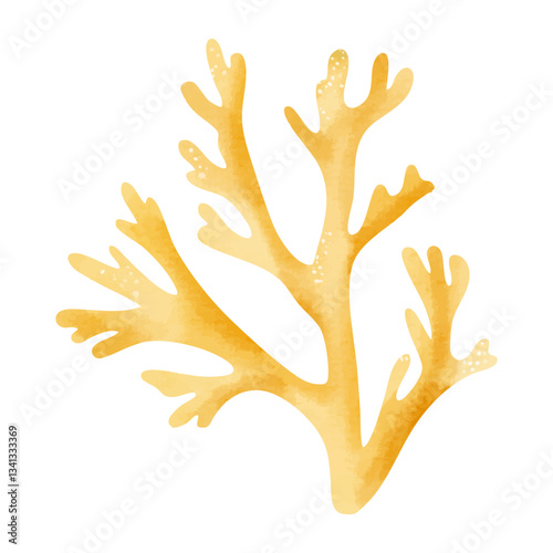 Watercolor coral. Aquarium seaweeds. Underwater plants, aglae, laminaria. Sea flora illustration. Hand drawn underwater life