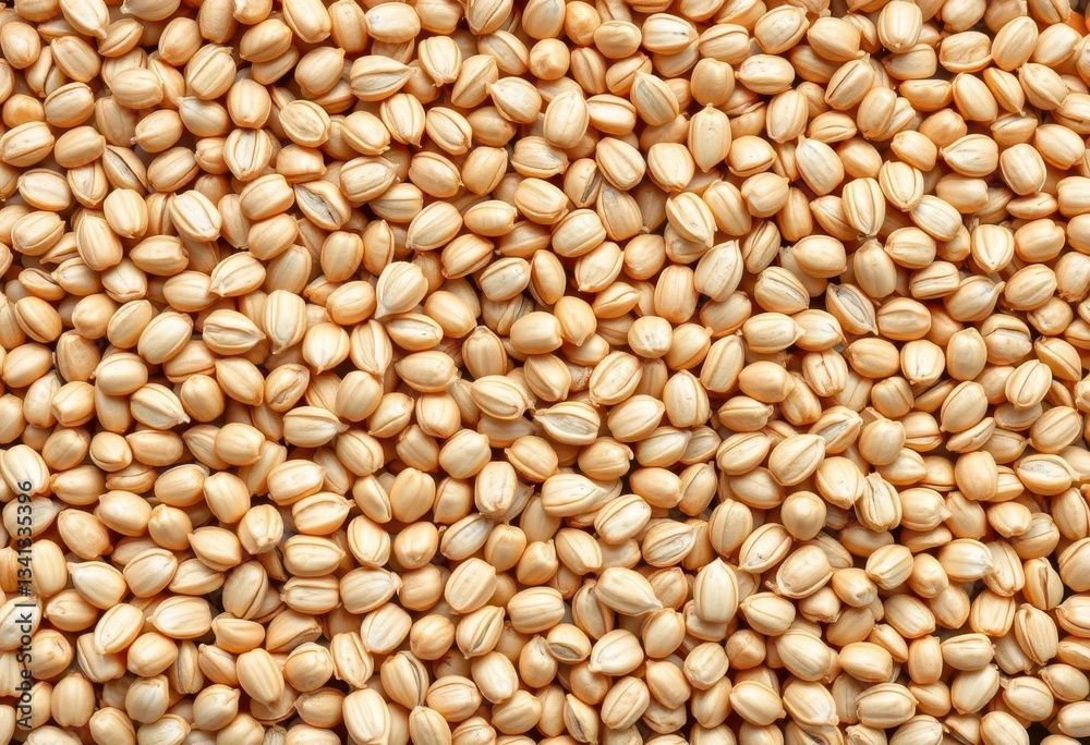 Close-up of raw spelt grain kernels, showcasing natural texture and color variations, dietary, plant Close-up of raw spelt grain kernels, showcasing natural texture and color variations, dietary, plant
