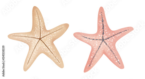 Watercolor starfish. Sea flora illustration. Hand drawn underwater ocean life