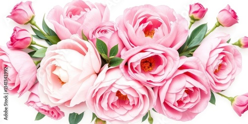 Delicate blush peonies & pink roses watercolor bouquet, white background, background, element