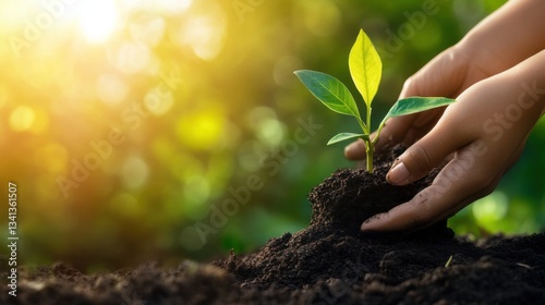 Wallpaper Mural Career development strategies pave the way for professional growth. Torontodigital.ca