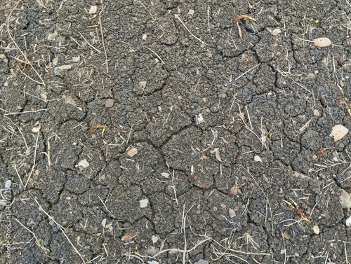 dry and cracked soil surface texture in the dry season 