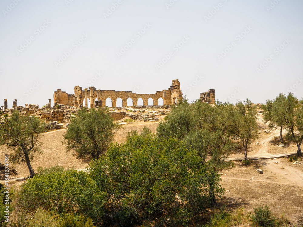 Fototapeta premium Volubilis Berber-Roman City Ruins - Morocco