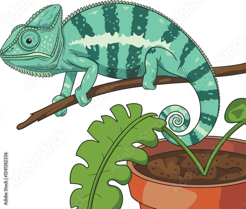 Cute cartoon funny chameleon isolated on white backround