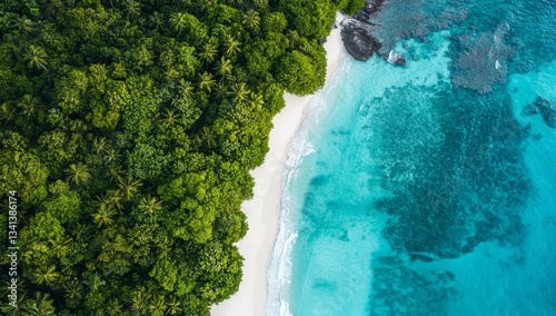 A serene natural setting is created by the waves at the beach, making it a beautiful background in the summer