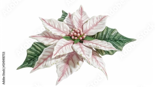 Poinsettia, pomegranate flower